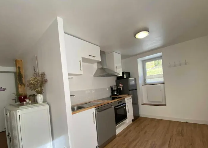 Appartement La Coume D'or *